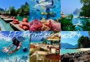 เที่ยวไทยต้องไปไห้รู้ : PP Princess resort